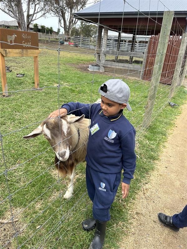 Image - 2025-10-27T124146.503