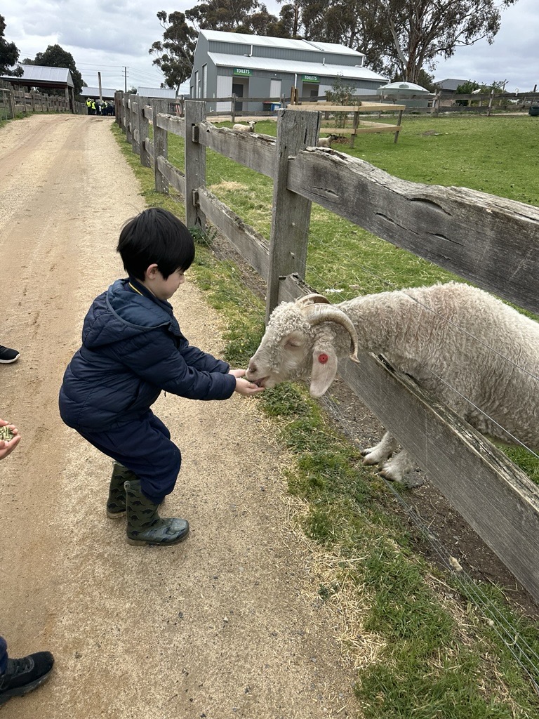 Image - 2025-10-27T124150.928