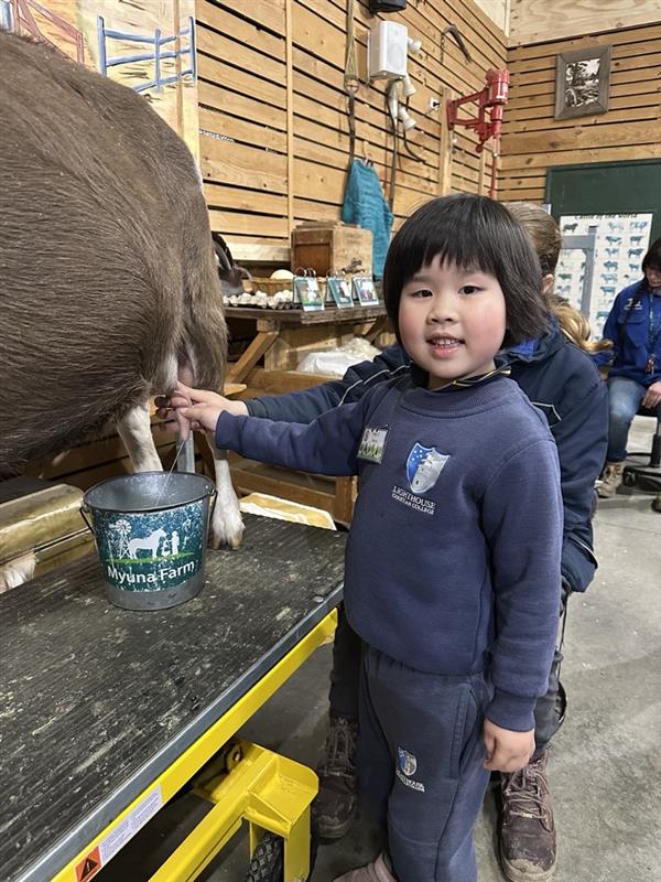 Image - 2025-10-27T124227.151