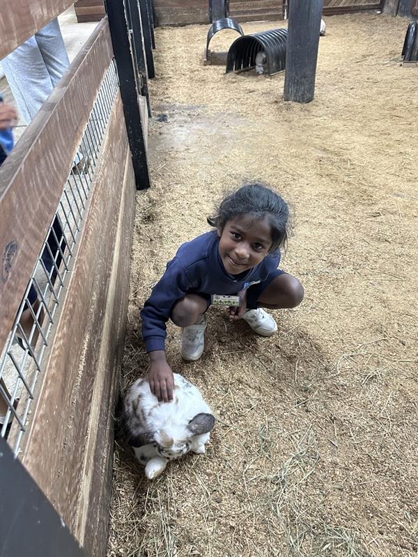 Image - 2025-10-27T130944.451