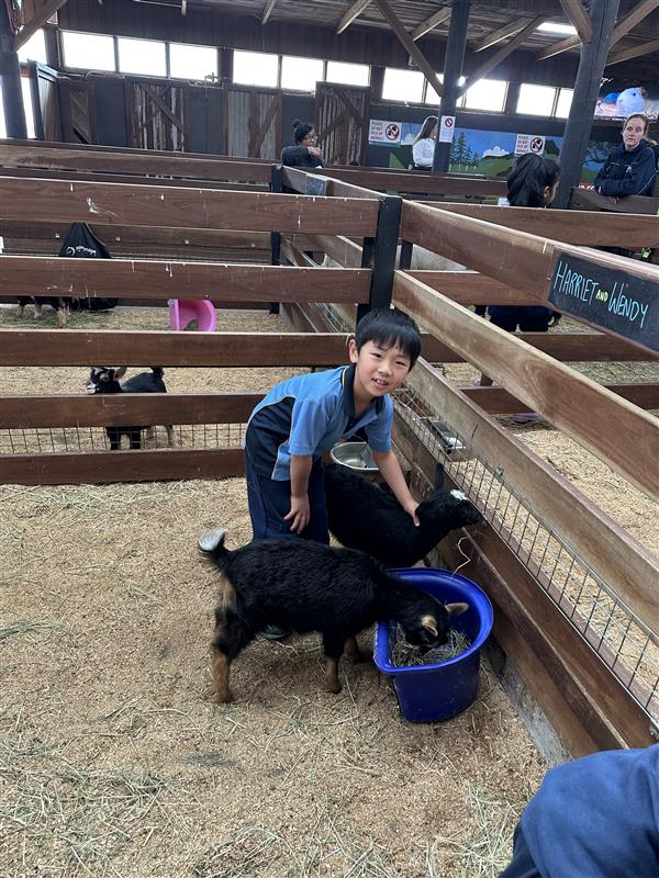 Image - 2025-10-27T144023.117