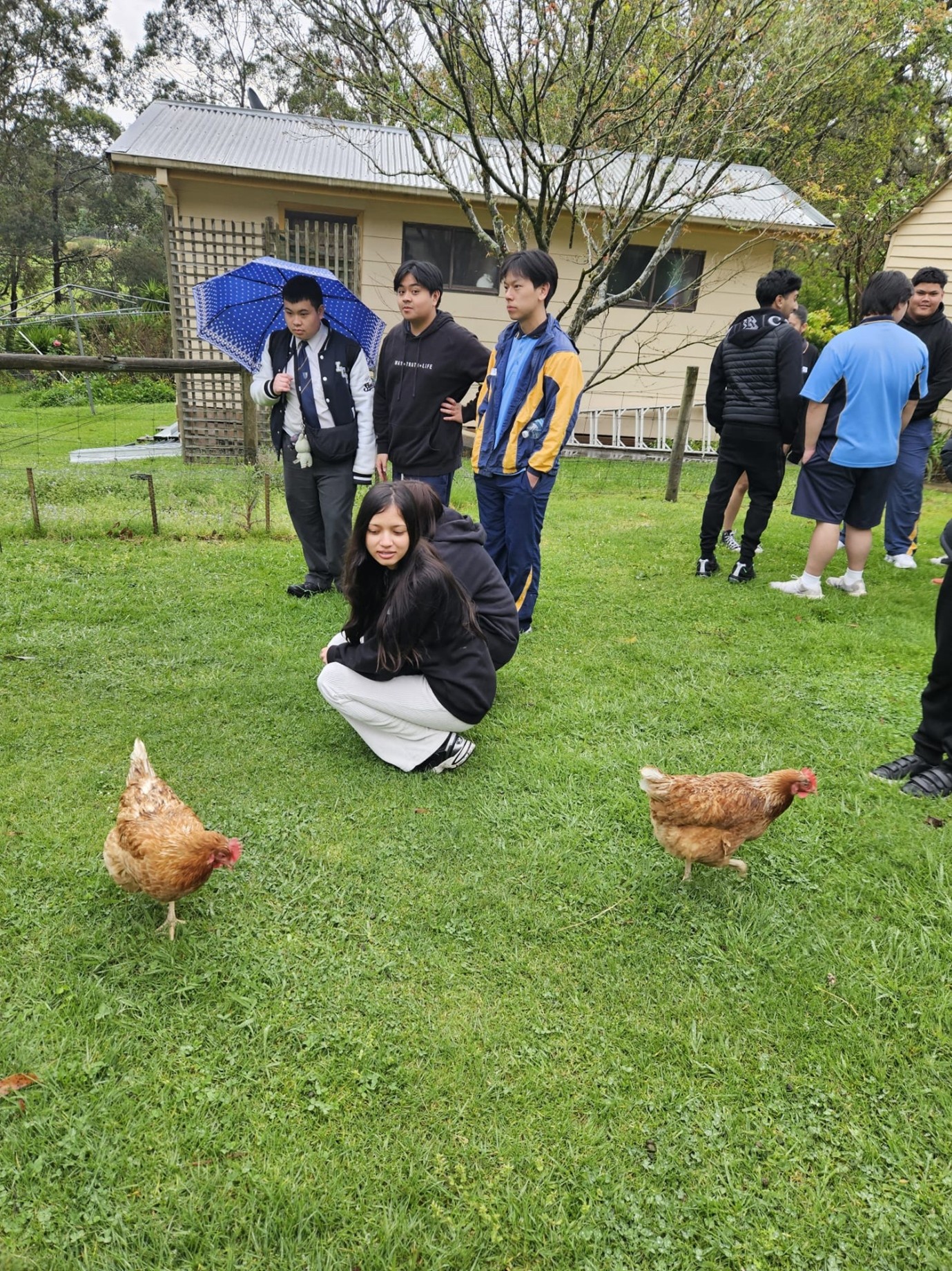 {{brizy_dc_image_alt imageSrc=