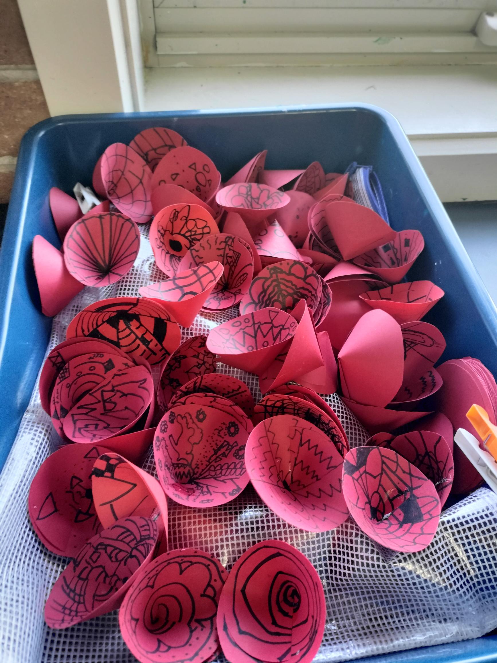 individual poppies