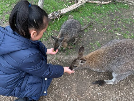 {{brizy_dc_image_alt imageSrc=