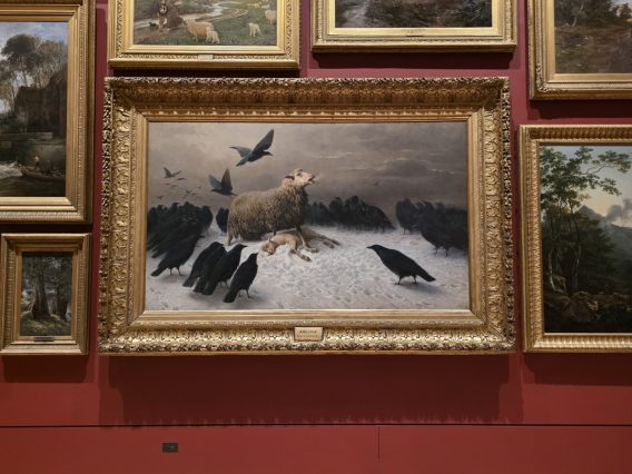 {{brizy_dc_image_alt imageSrc=