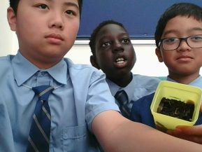 {{brizy_dc_image_alt imageSrc=